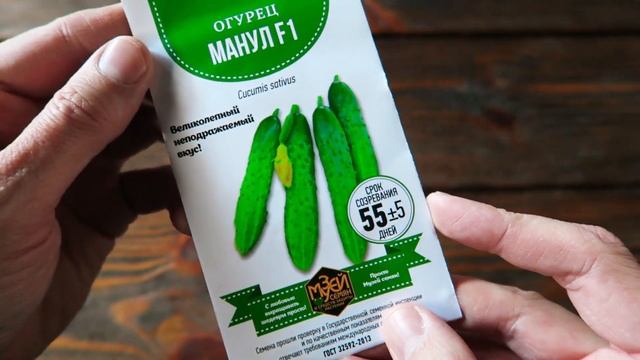 Семена огурца Манул ? Отличный вкусовые качества