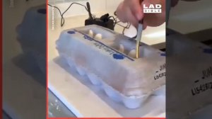 Самые красивые торты в мире