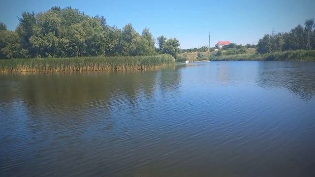 Отдых на реке Саратовке. #саратовскаяобласть