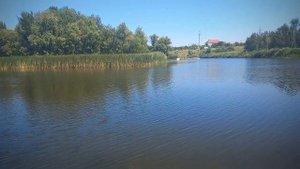 Отдых на реке Саратовке. #саратовскаяобласть