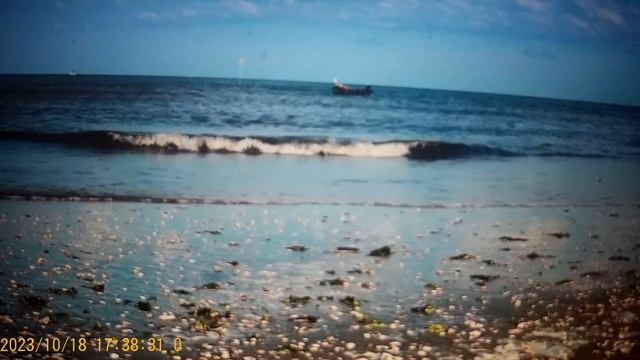 С,афар и Уралочка - кушай Оля , жри - кричат диетологи подписчики , а ,, МУЖ ,, руки потирает. смотреть онлайн