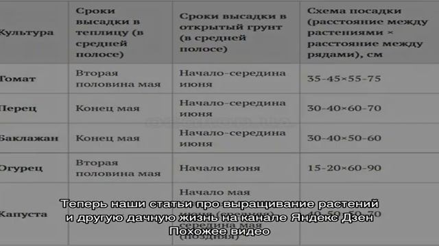 Поздние сроки посадки картофеля: как получить полноценный урожай смотреть онлайн