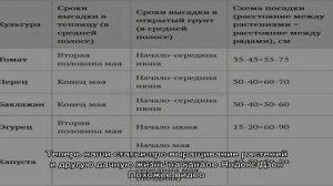 Поздние сроки посадки картофеля: как получить полноценный урожай