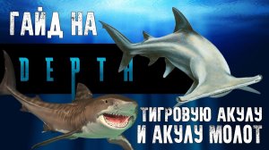 Depth гайд на тигровую акулу и акулу молот