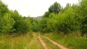 ? Пермская аномальная зона (М-ский треугольник) и село Молёбка | Ураловед