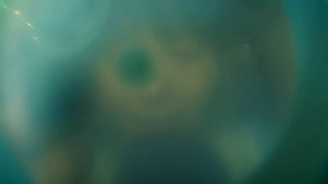 My Fav 'Follow My Instructions' Triggers♥English ASMR смотреть онлайн