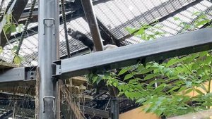Squirming in pain! Mom Genki is bitten on the nipple while breastfeeding 🅷🅾🆃【KyotoZoo,  Gorilla
