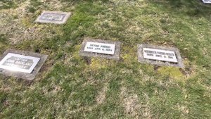 Университет. Могила Брюса Ли. Дом Курта Кобейна.