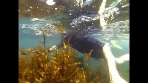 Бухта Киевка, каякинг