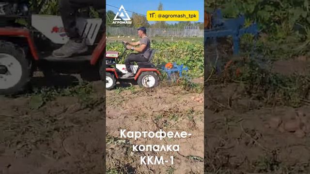 Картофелекопалка ККМ-1 для минитрактора Агромаш МТ-110. Копаем картофель.