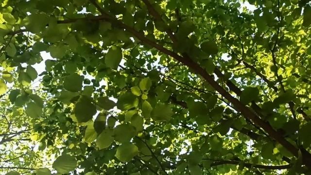 1 сентября праздник День Стратилата. Народные приметы и традиции. Запреты дня.