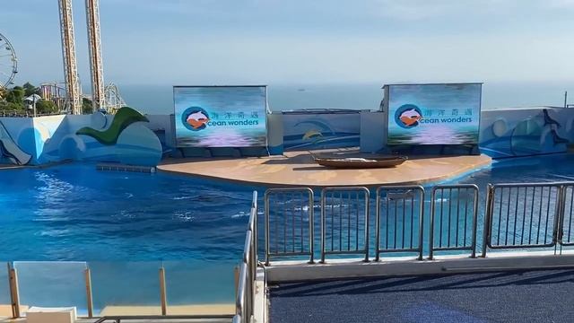 Okyanus Parkı | Yunus gösterisi | Panda | Mirket Ailesi | Dev Hızlı Tren | HONG KONG 2021 смотреть онлайн