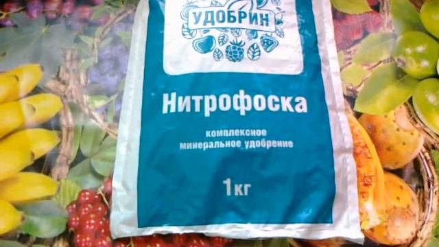Нитрофоска - всё самое необходимое, для питания растений.
