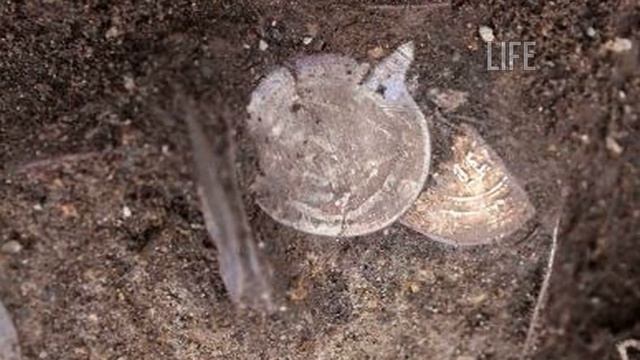 Никто не мог представить какой клад таил в себе этот пень! смотреть онлайн