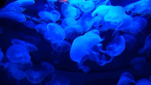 Крепкий сон. Колыбельная для детей и взрослых. Deep sleep. Lullaby for everyone. 7 hours of sleep. смотреть онлайн