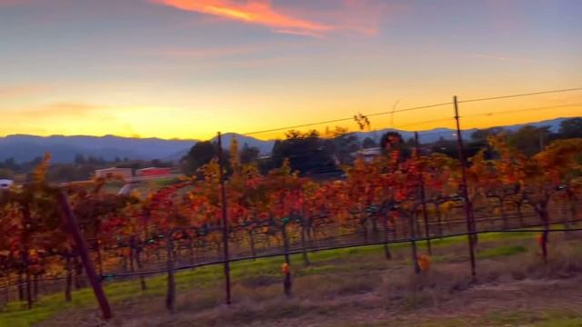 ПРИБИРАЕМСЯ. ВЫБРАСЫВАЕМ ХЛАМ. УЖЕ ГОТОВИМСЯ. смотреть онлайн