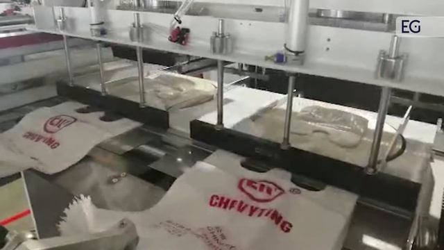 Станок для производства пакетов CW-400V2 смотреть онлайн