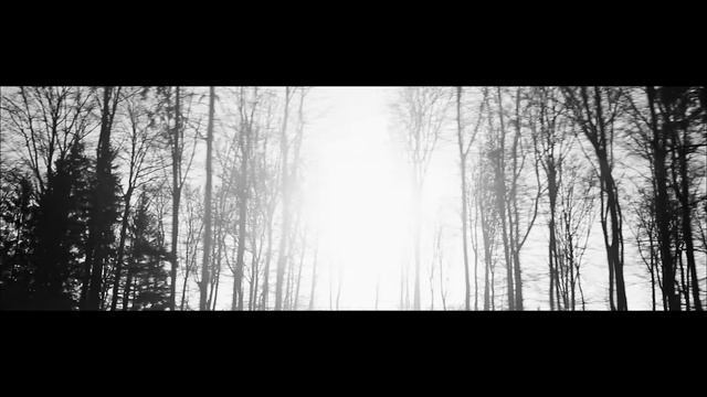 Ferrari F8 Spider and Ferrari 812 GTS | Philippine Virtual Premiere смотреть онлайн