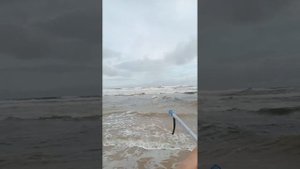 Шри-Ланка, 24 октября 2022, Бентота