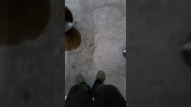 Рубрика: Своими руками. В первый раз в жизни укладка кафеля на деревянный пол. смотреть онлайн