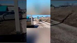 Люлька с мотором от мопеда