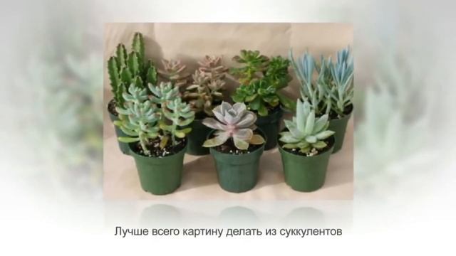 Настенные цветочные композиции: фитокартины своими руками мастер-класс