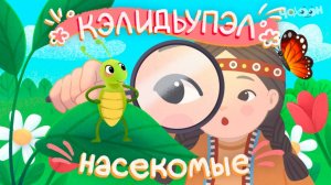Кэлидьэпул - Насекомые