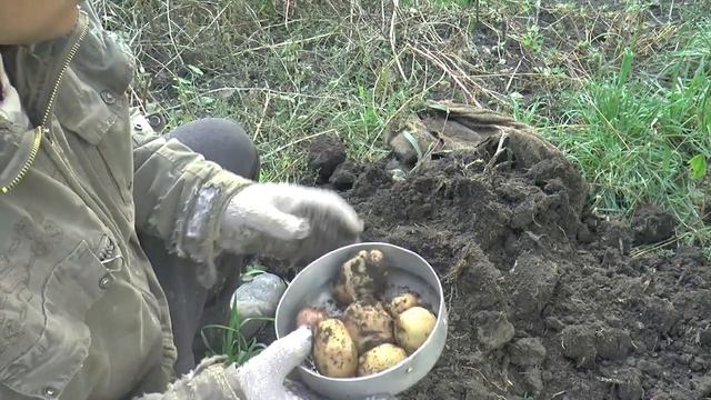 КАРТОШКА в МЕШКЕ. УРОЖАЙ. смотреть онлайн
