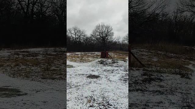 Берег озера Боброво смотреть онлайн