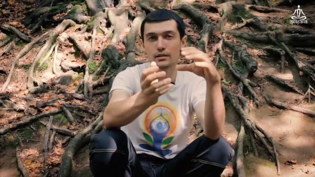 Семинар: "Хатха-йога для похудения" смотреть онлайн