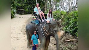 ПРОГУЛКА НА СЛОНАХ. ПУТЕШЕСТВИЯ 2023.