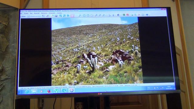 Лекция МКЛК смотреть онлайн