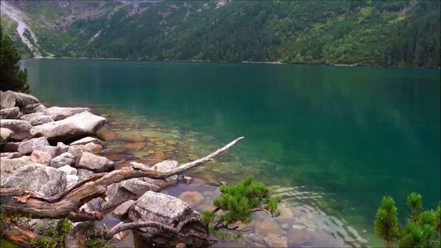 Псалтирь святого пророка и царя Давида в переводе Бируковых. Кафизма шестнадцатая. Псалмы 109 -117. смотреть онлайн