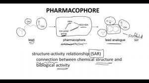 drug lead optimization