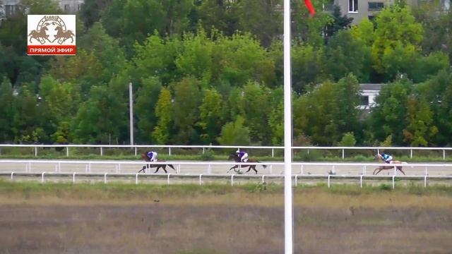 25.09.2022 - Прощальный приз на лошадях 4-х лет и старше ахалтекинской породы - Ранжир смотреть онлайн