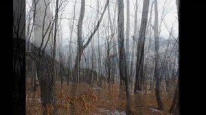 Высота 611/Height 611