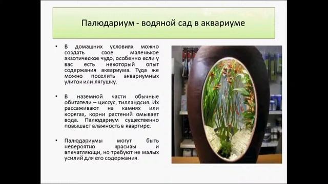Озеленение интерьеров офисов