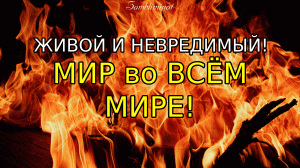 САБЛИМИНАЛ "Живой и невредимый! МИР во ВСЕМ МИРЕ!" очень мощная работа подсознания??