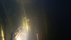 Усть-Луга подводная охота