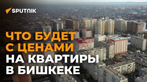 Что будет с ценами на квартиры в Бишкеке? 12 вопросов риелтору