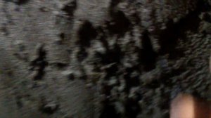 Максимальный слой штукатурки