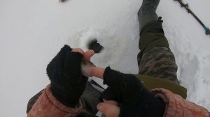 ПЕРВЫЙ ЛЕД 2021-2022 ЛОВЛЯ ОКУНЯ НА БЕЗМОТЫЛКУ ЗИМНЯЯ РЫБАЛКА 2022.