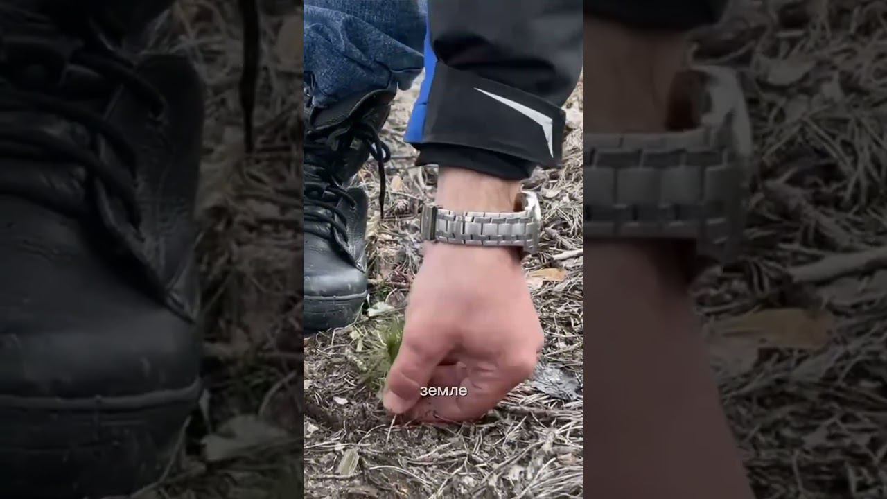15 тысяч деревьев высадят в Гомеле весной