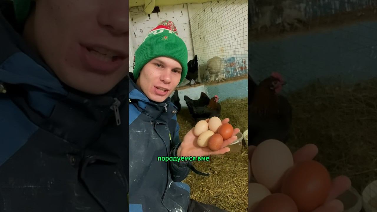 На ферме у нас интересно, подписывайся смотреть онлайн