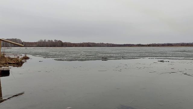 Закаливание моржевание зимнее плавание. 20.04.2022г.