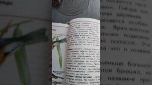 влог с басиком и Лили/Басик Заболел ????