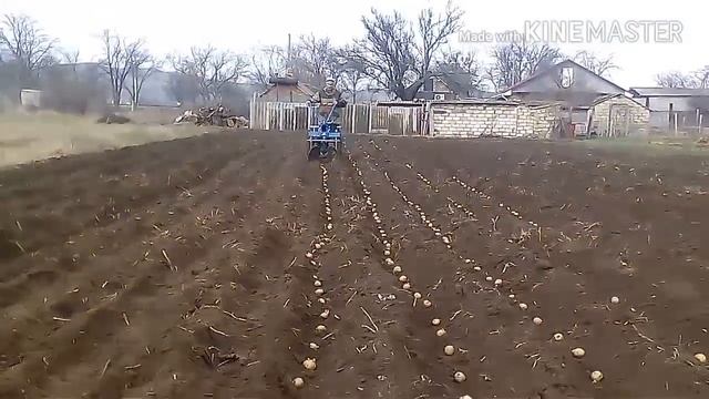 Полноценная посадка картофеля с помощью дисковых окучников и мб. Анонс следующего видео. смотреть онлайн