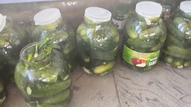 ЧЕРНИКА на завтрак, обед и десерт. Заготовки начались. Вредители сада могут быть милыми. смотреть онлайн