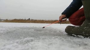 ловим хищную рыбу на Селигере зимой часть 3