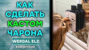 КАК СДЕЛАТЬ КАСТОМ CHARON BABY